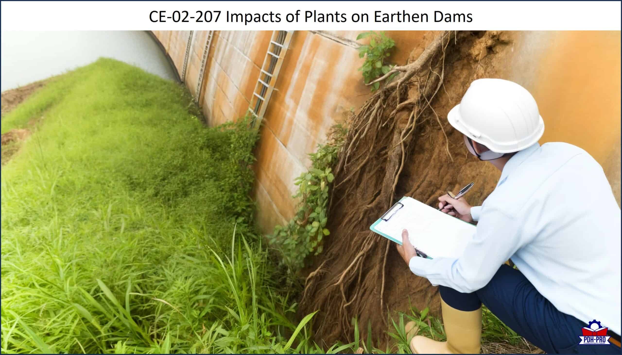 Impacts of Plants on Earthen Dams